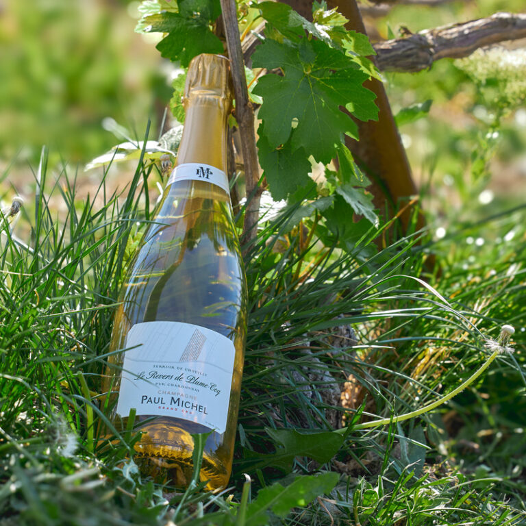 Champagne-Paul-Michel-_ROSE